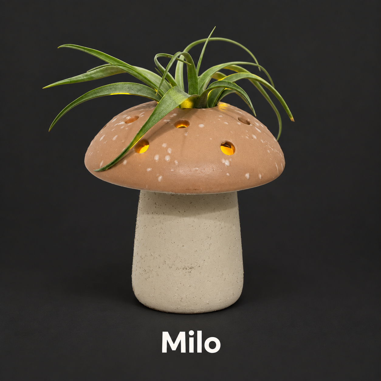 Milo