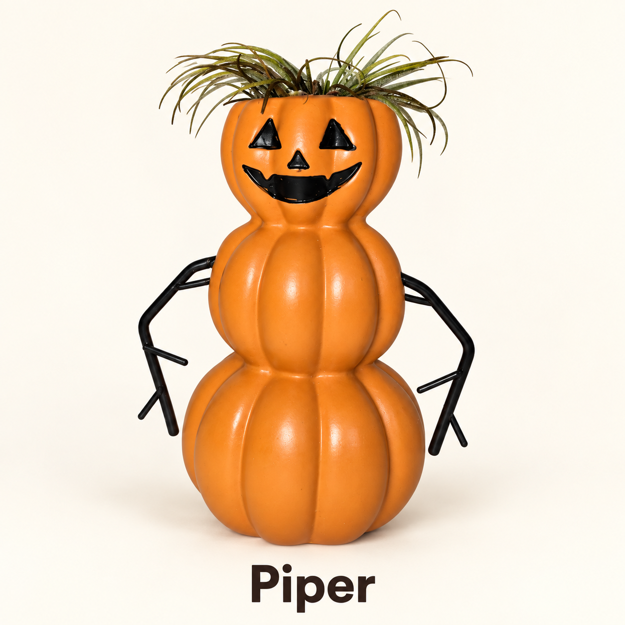 Piper