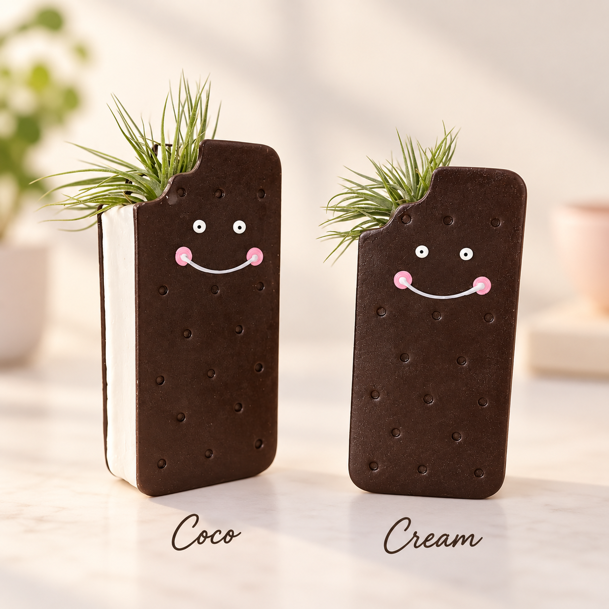 Coco & Cream