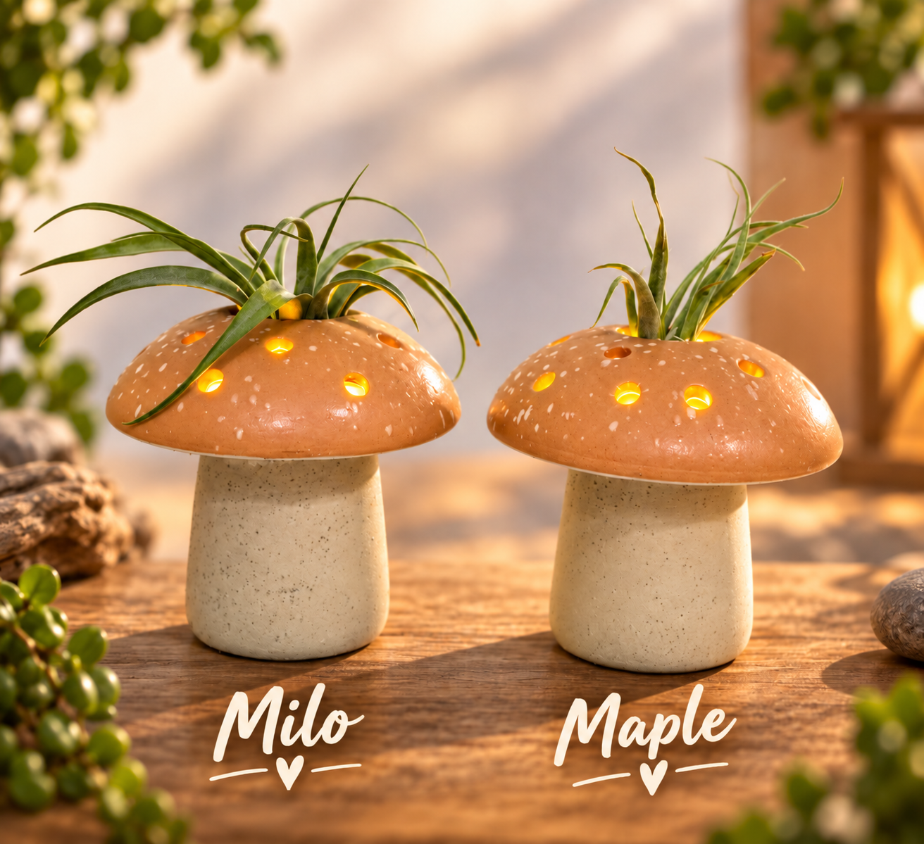 Milo & Maple