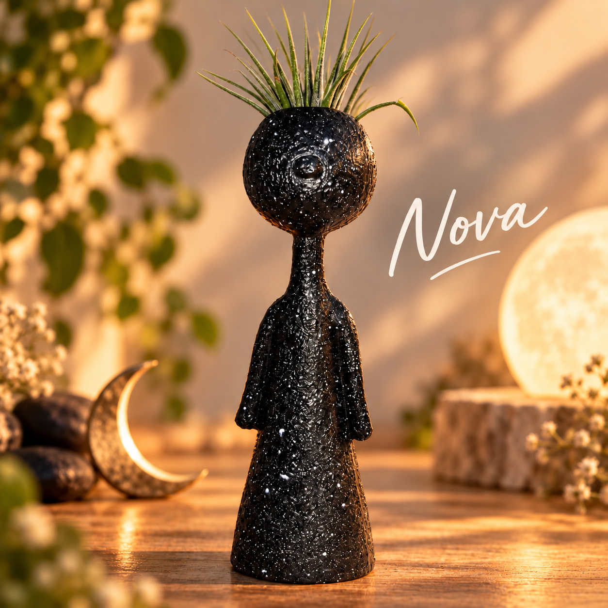 Nova